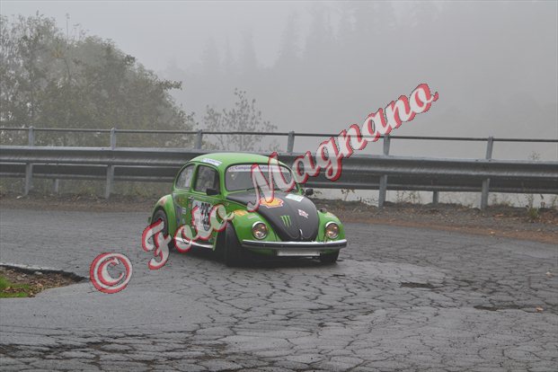 DSC_5478.jpg